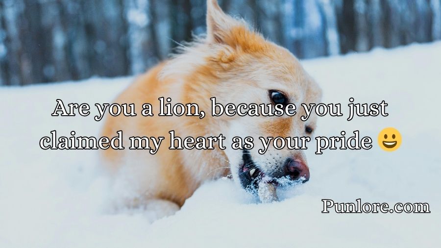 Animal Pick Up Lines