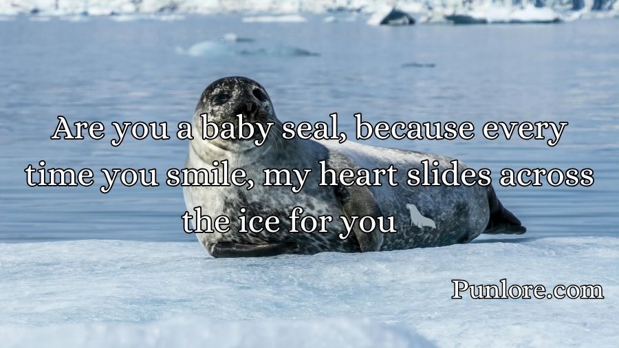 Seal Pickup Lines