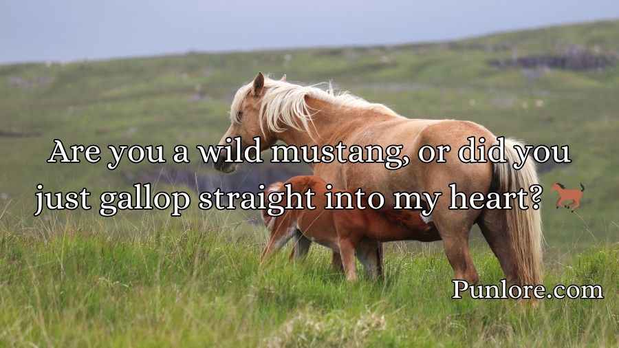 Horse Pick Up Lines