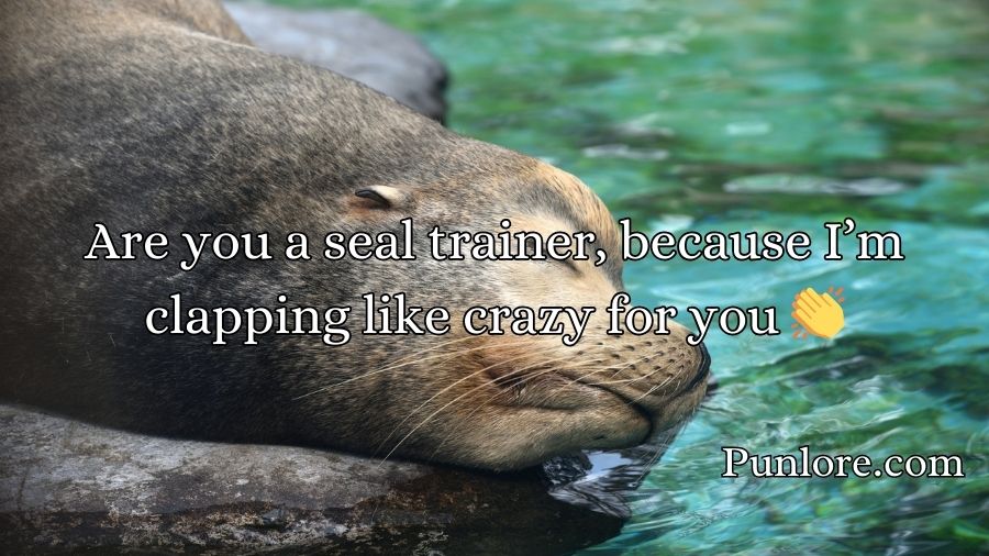 Seal Pickup Lines