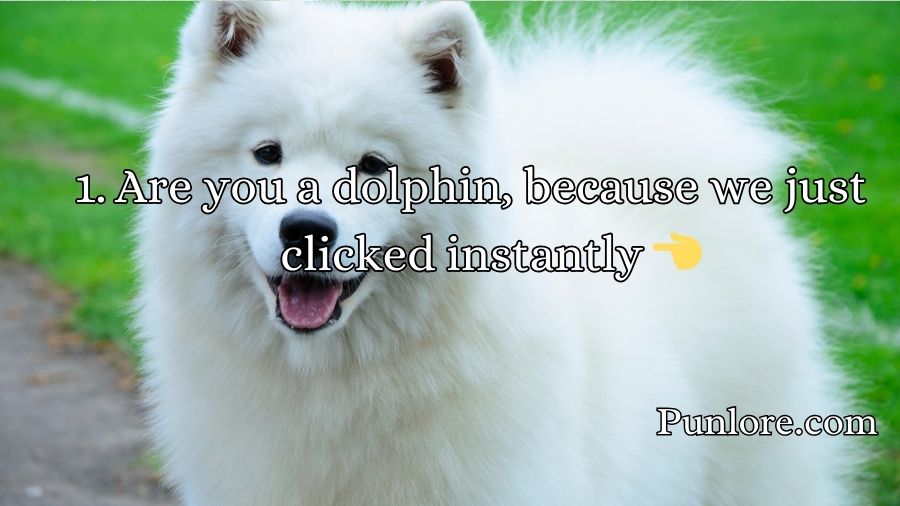 Animal Pick Up Lines