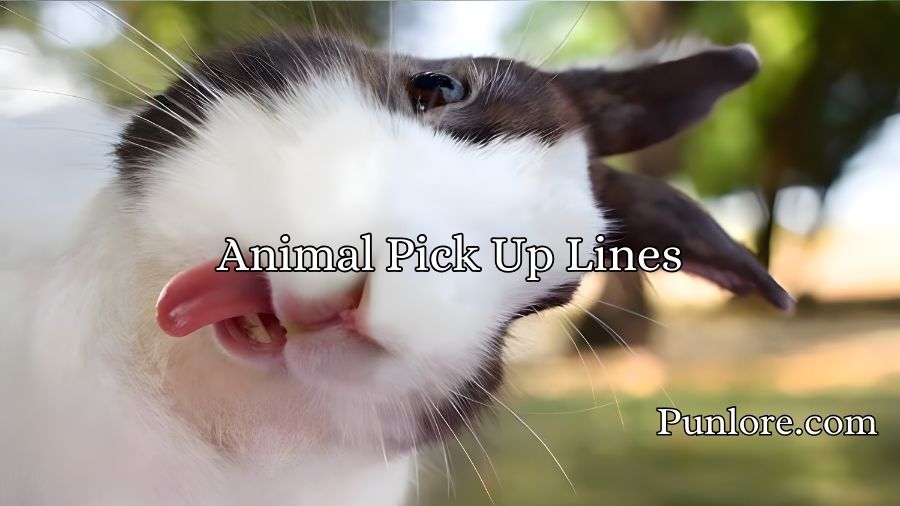 Animal Pick Up Lines