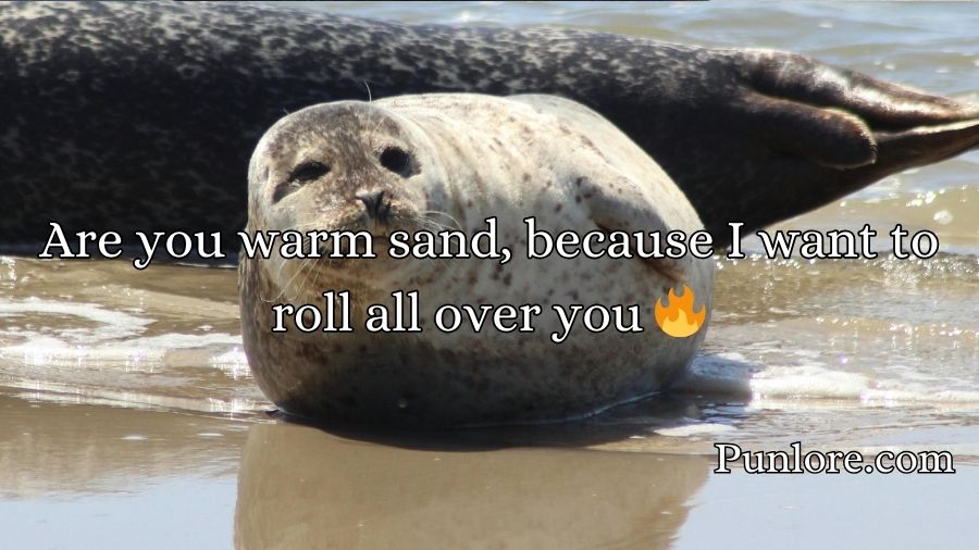 Seal Pickup Lines