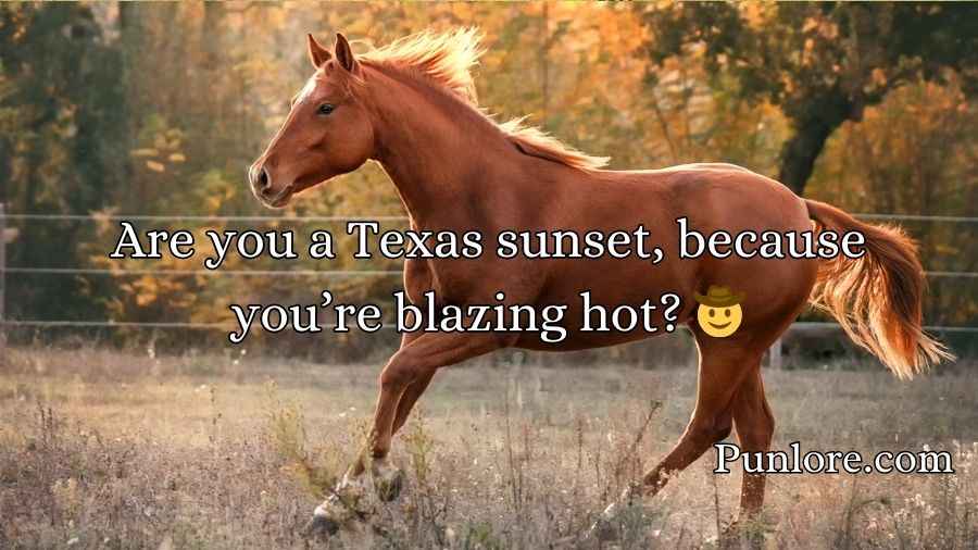 Horse Pick Up Lines