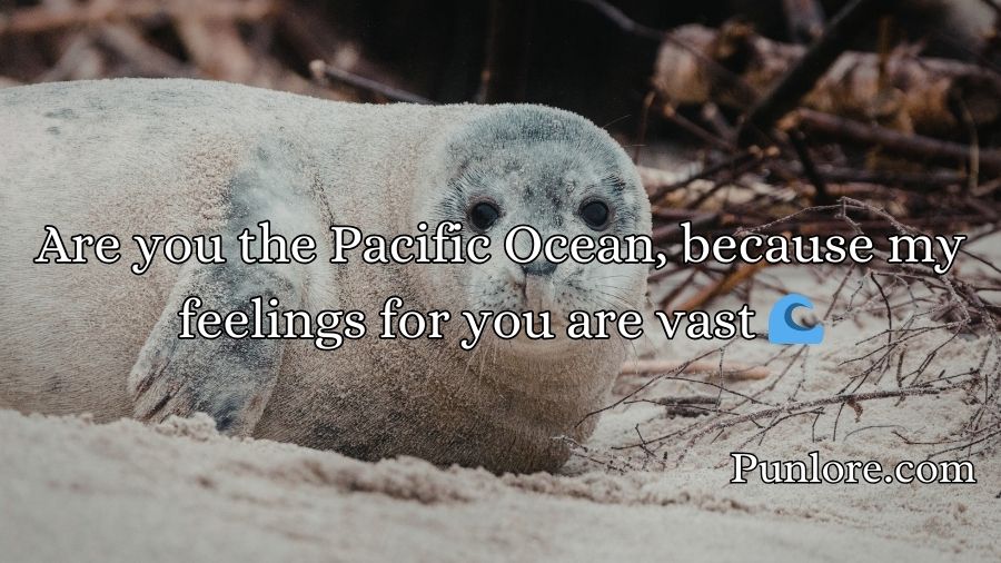 Seal Pickup Lines
