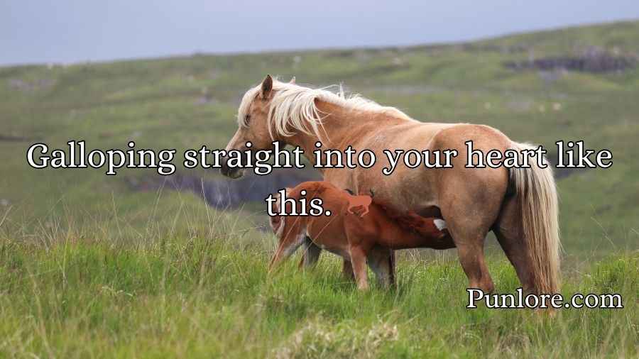 Horse Pick Up Lines