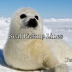 Seal Pickup Lines