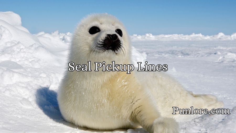 Seal Pickup Lines