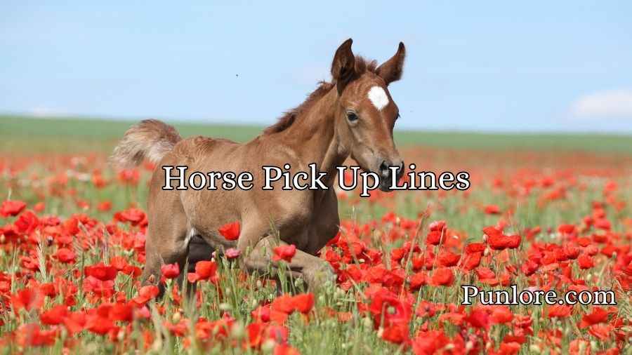 Horse Pick Up Lines