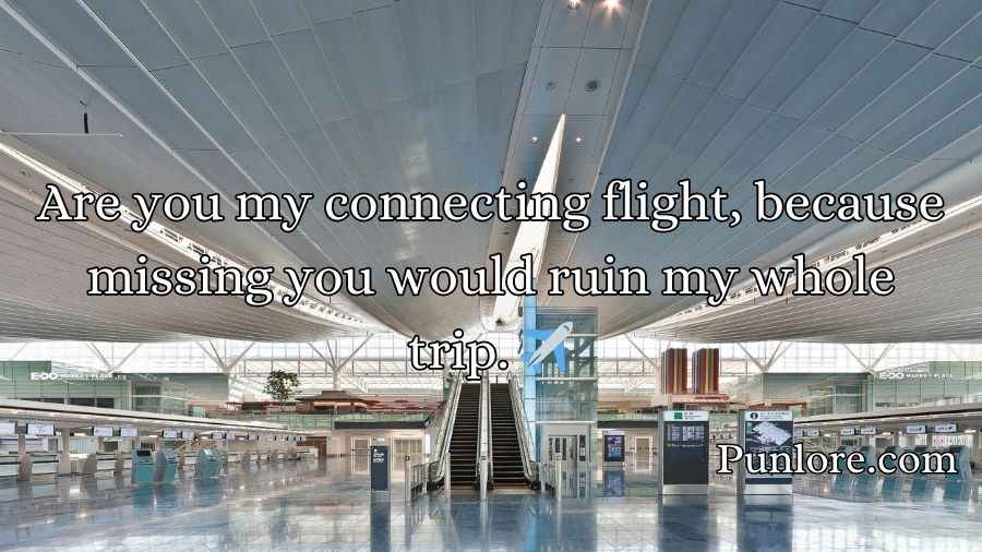 Airport Pick Up Lines