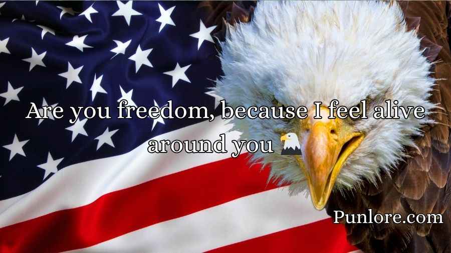 American Pick Up Lines