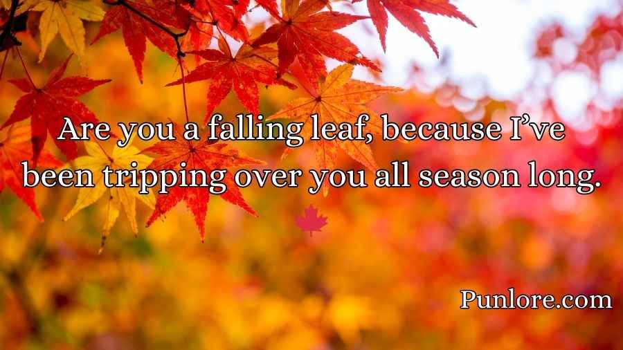 Autumn Pick Up Lines