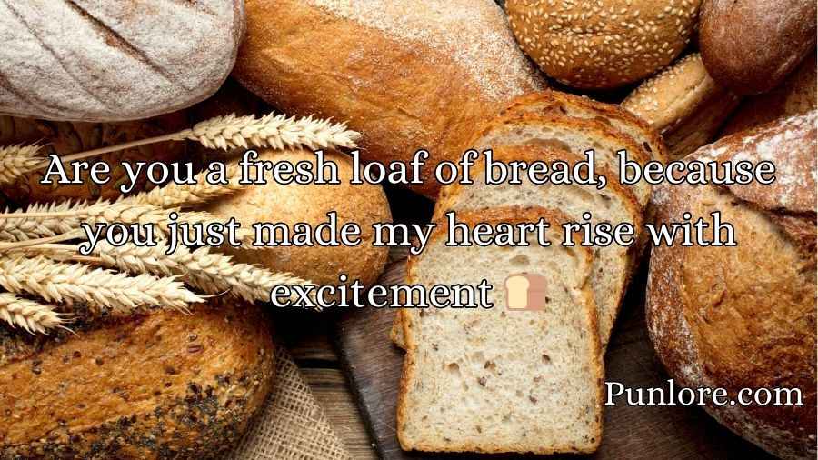 Bread Bakery Pick Up Lines