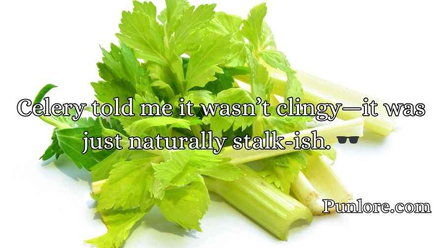 Celery Puns and Jokes