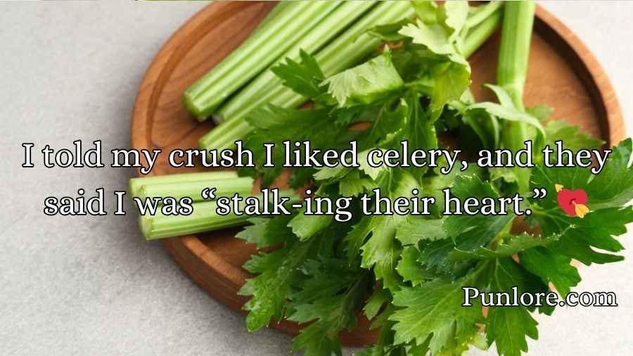 Celery Puns and Jokes