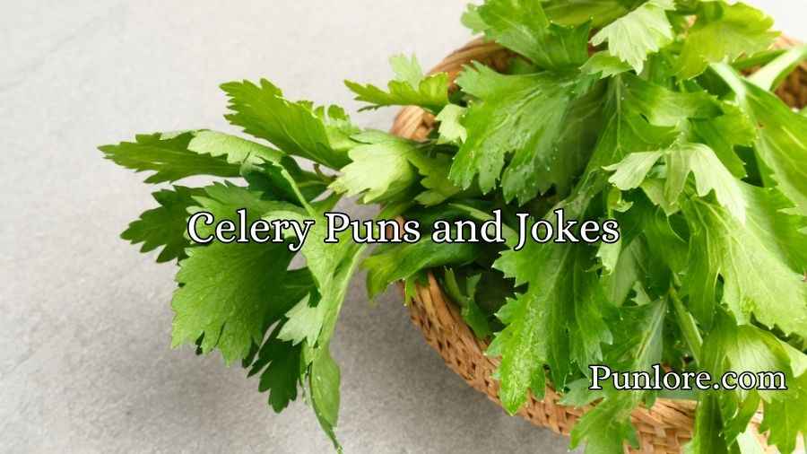 Celery Puns and Jokes