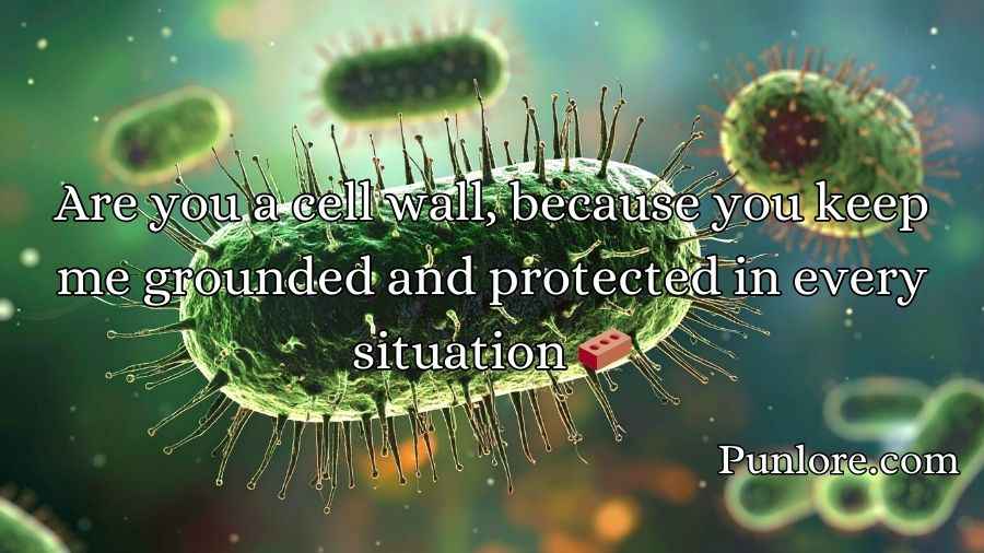 Cell Wall Pick Up Lines