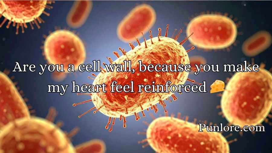 Cell Wall Pick Up Lines