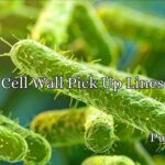 Cell Wall Pick Up Lines