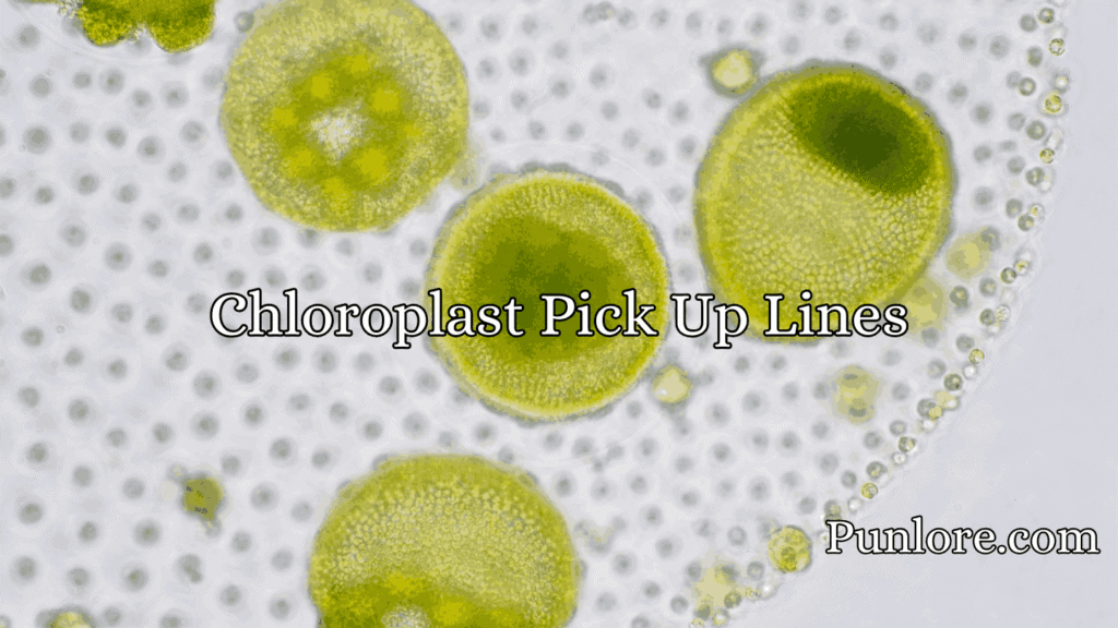 Chloroplast Pick Up Lines