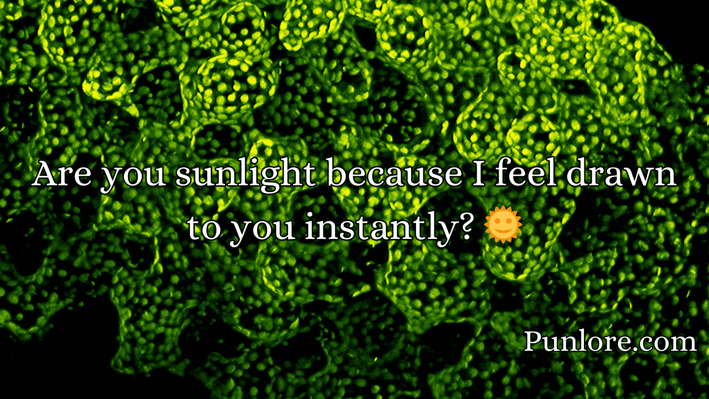 Chloroplast Pick Up Lines