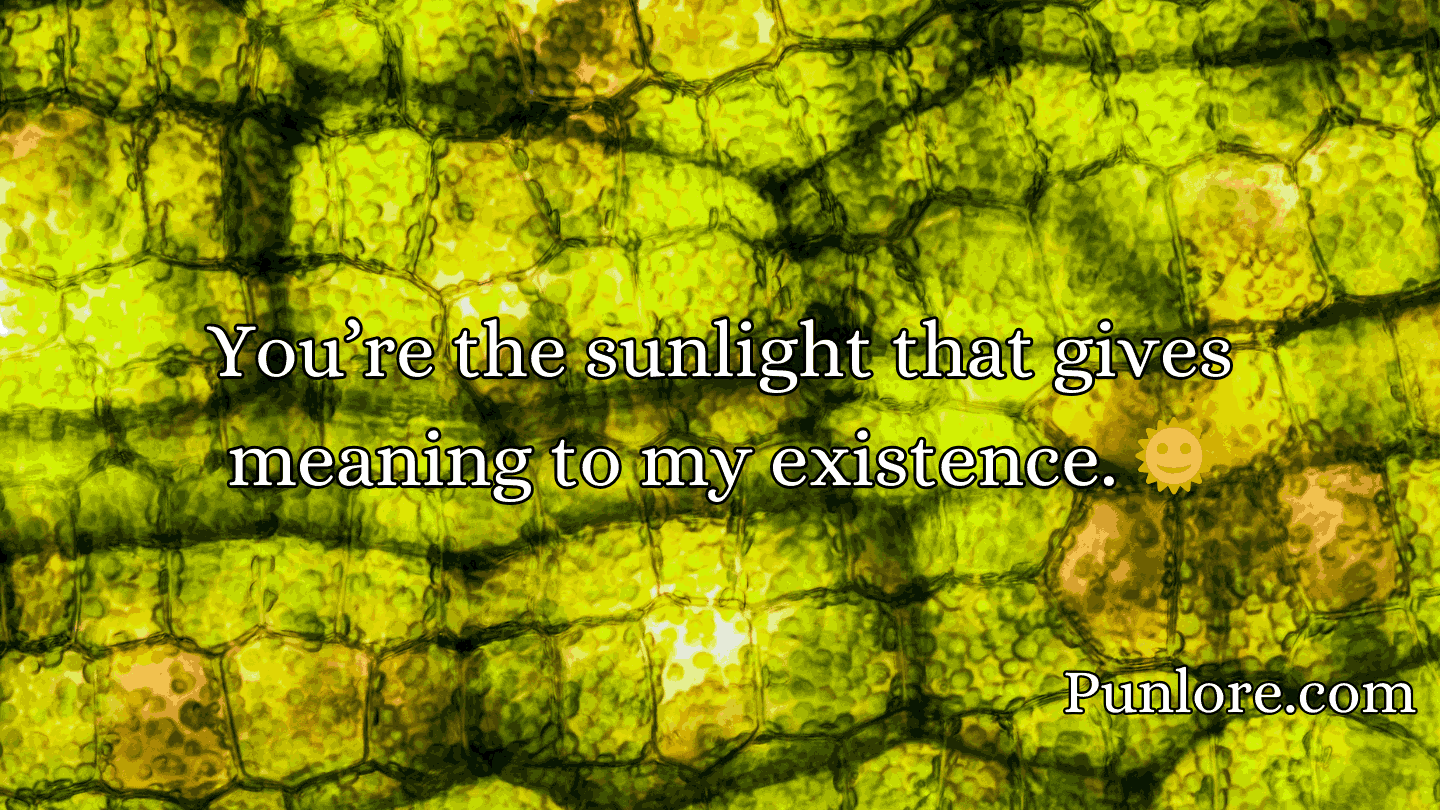 Chloroplast Pick Up Lines