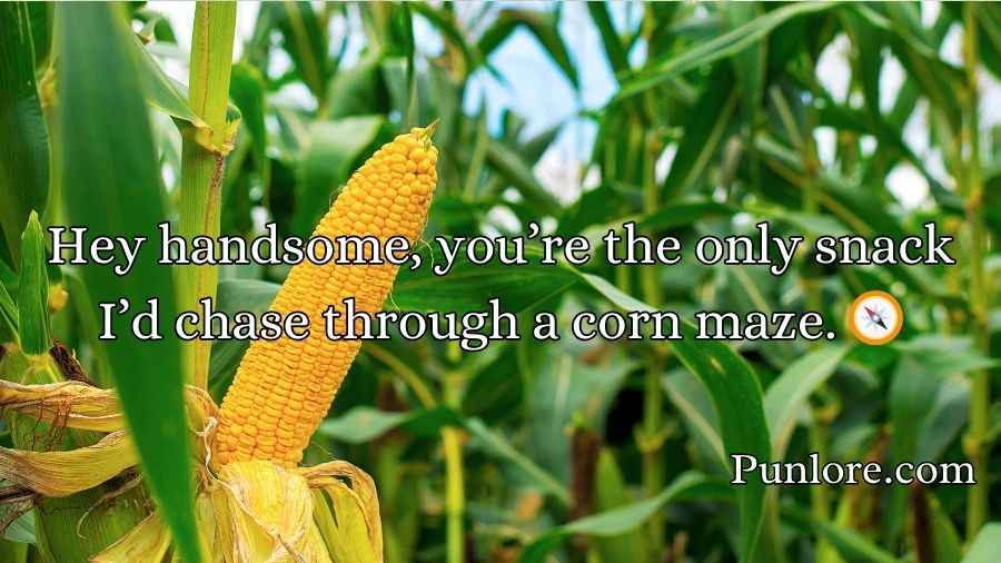 Corn Pick Up Lines