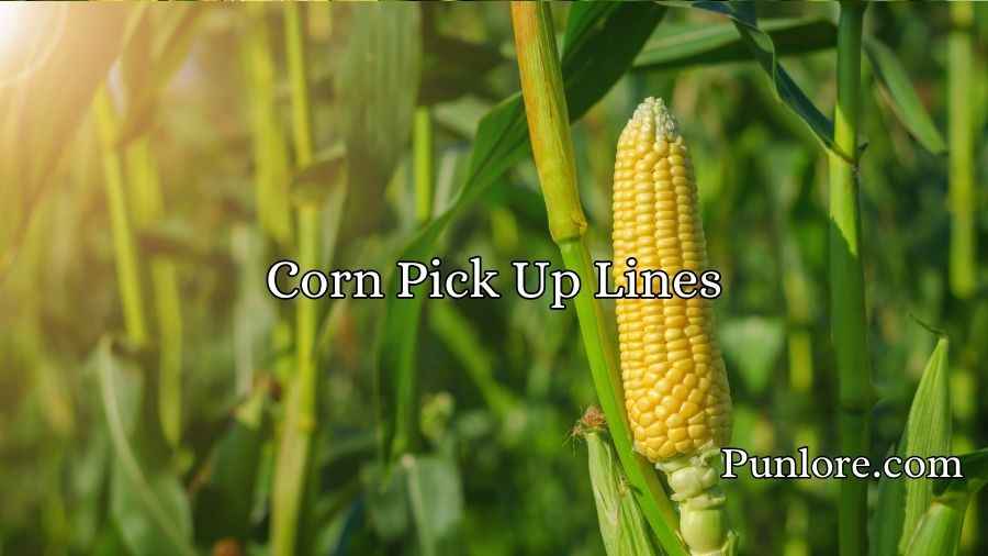 Corn Pick Up Lines
