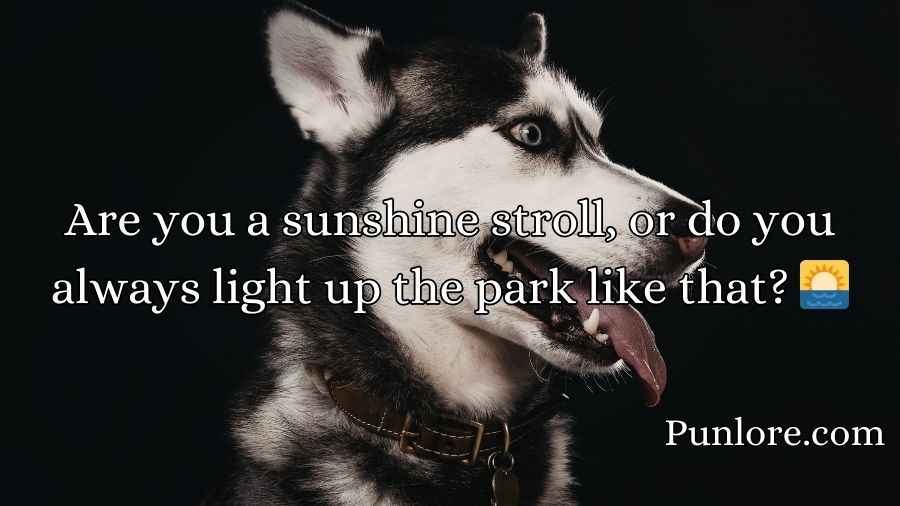 Doggone Clever Pick-Up Lines