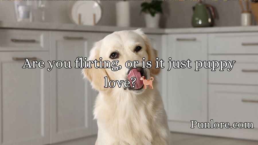 Doggone Clever Pick-Up Lines