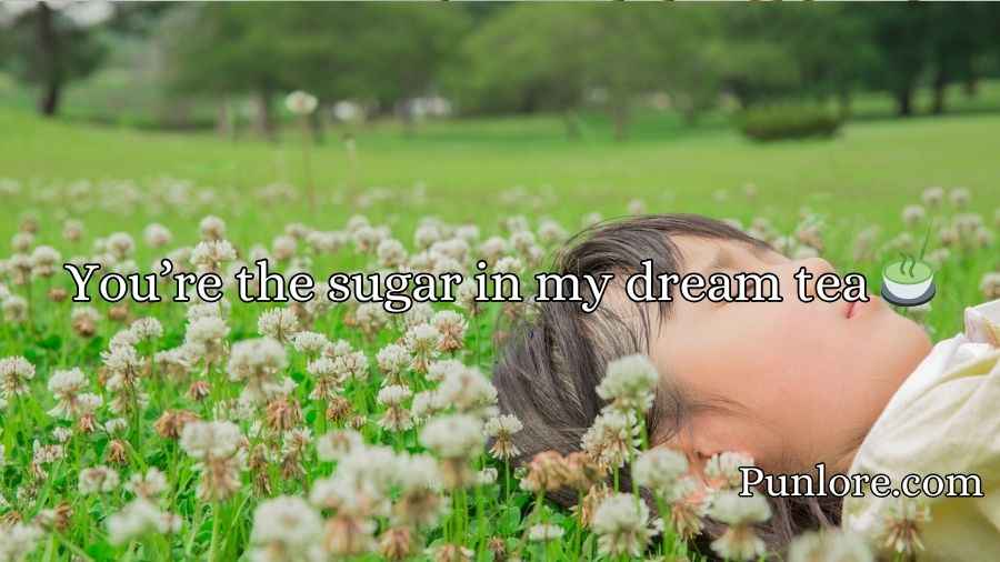 Dreams Pick Up Lines