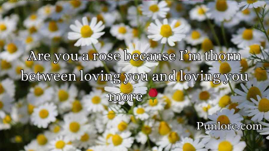 Flower Pick Up Lines