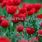 Flower Pick Up Lines