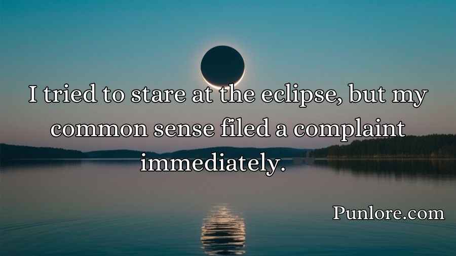 Funny Solar Eclipse Puns