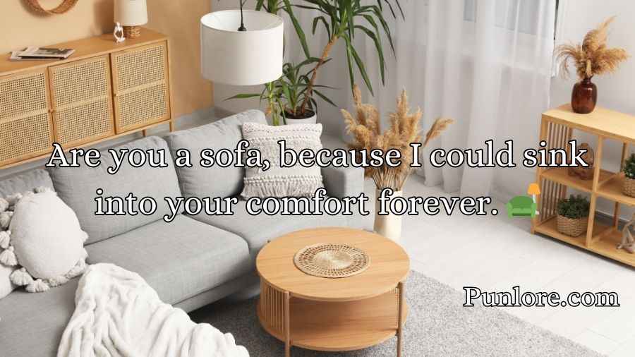 Furniture Pickup Lines