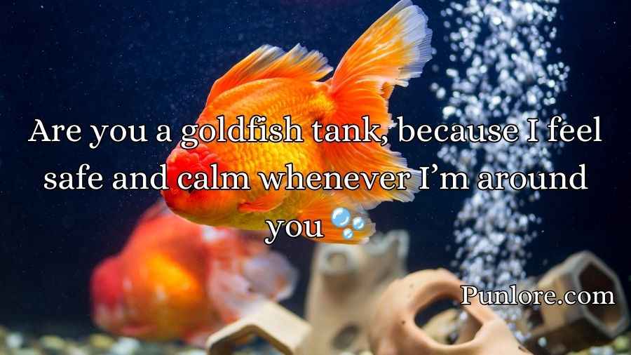 Goldfish Pick-Up Lines