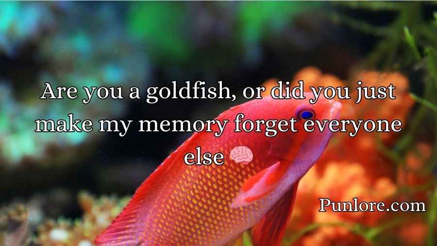 Goldfish Pick-Up Lines
