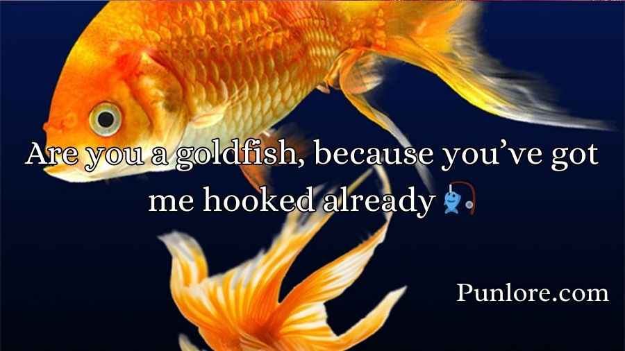Goldfish Pick-Up Lines