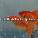 Goldfish Pick-Up Lines