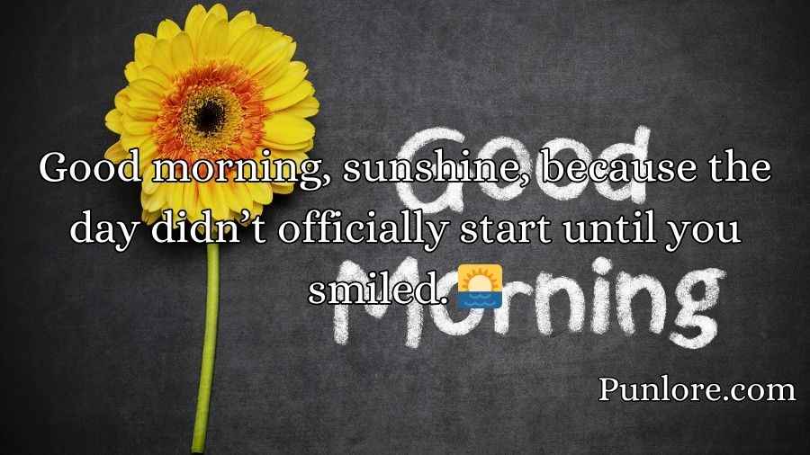 Good Morning Pick Up Lines