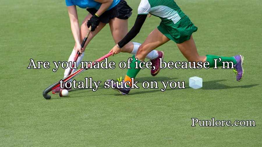 Hockey Pick Up Lines