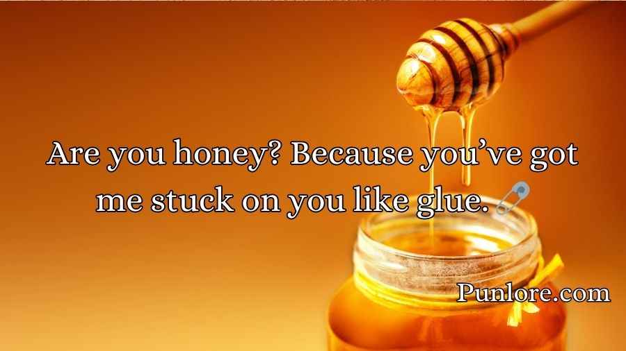 Honey Pick Up Lines