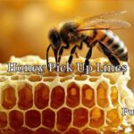 Honey Pick Up Lines