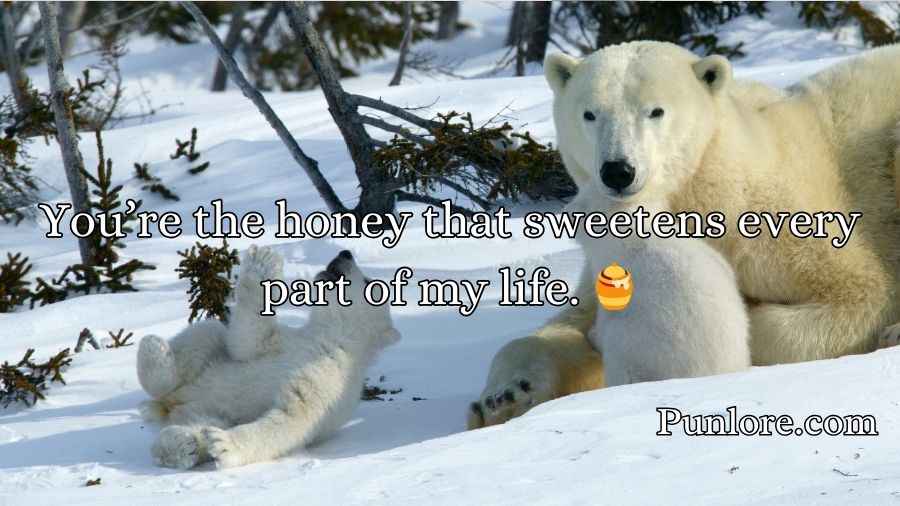 Irresistible Bear Rizz Lines