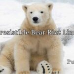 Irresistible Bear Rizz Lines