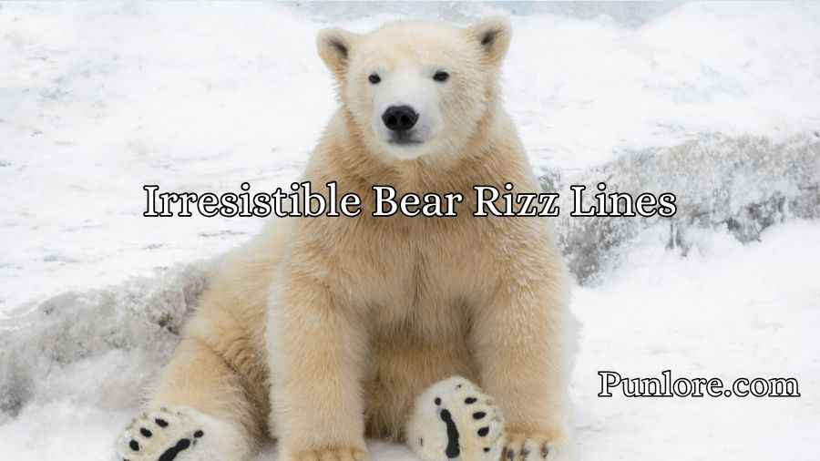 Irresistible Bear Rizz Lines