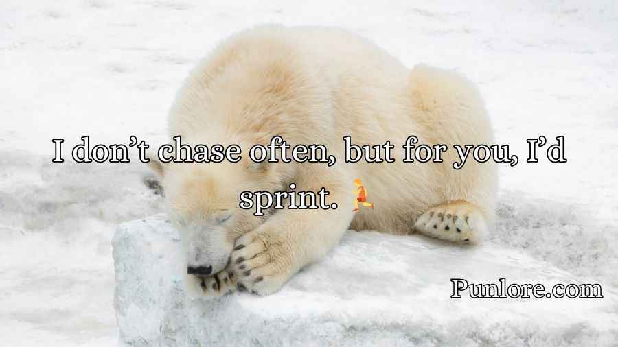 Irresistible Bear Rizz Lines