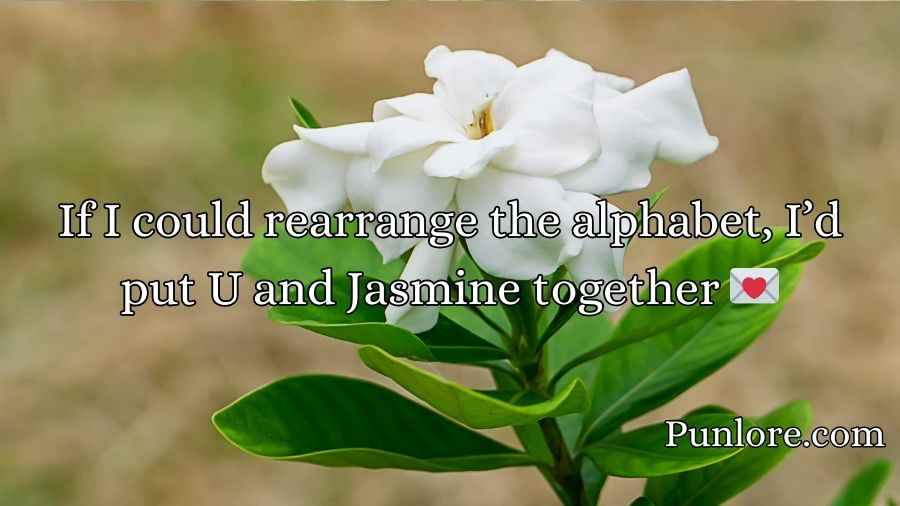 Jasmine Pick Up Lines