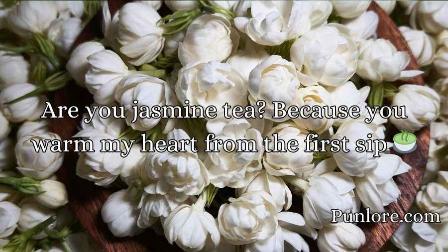 Jasmine Pick Up Lines