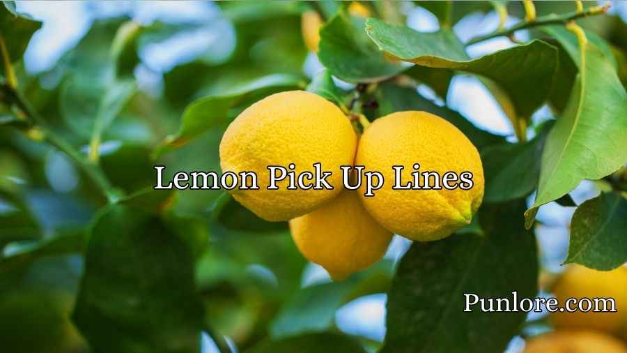 Lemon Pick Up Lines